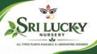 Sri Lucky Nursery Gardens
